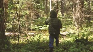 Çocuk ormanda tek başına kayboldu. Ormandaki çocuk yalnız. Ormanda tek başına hayatta kalmak. Bir turist çocuk çalılıklarda kayboldu. Üzgün bir çocuk bulunmayı bekliyor. Seçici odak
