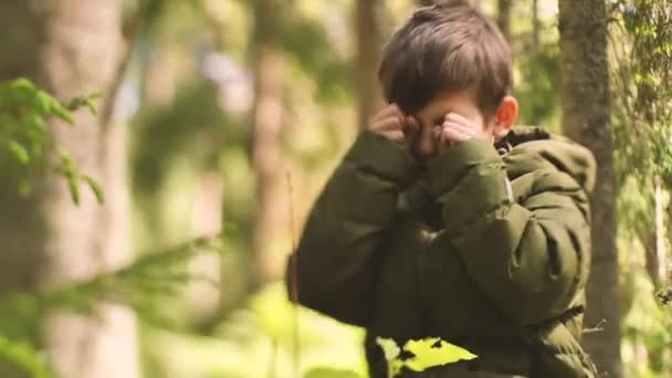 Enfant Est Perdu Dans Les Bois Seul Garçon Dans Les — Video
