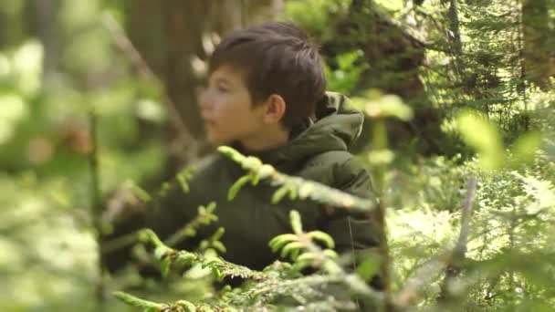 Het Kind Verdwaalde Alleen Het Bos Jongen Het Bos Alleen — Stockvideo