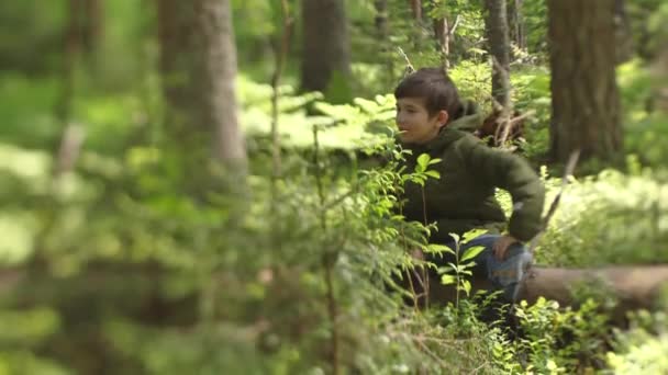 Gyerek Egyedül Eltévedt Erdőben Fiú Erdőben Egyedül Túlélés Egyedül Erdőben — Stock videók