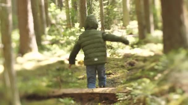 子供は一人で森の中で迷子になった 森の中の少年だけだ 森の中で一人で生き残る 観光客の子供が茂みで迷子になった 動揺している子供が発見されるのを待っている 選択的焦点 — ストック動画