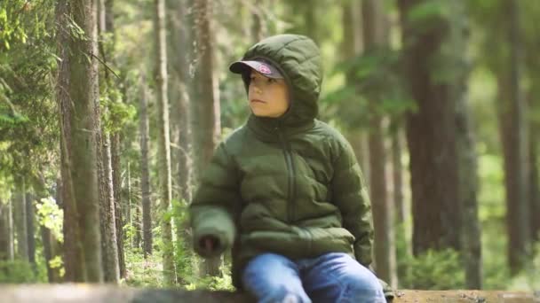 Child Got Lost Woods Alone Boy Woods Alone Survival Alone — Stock Video