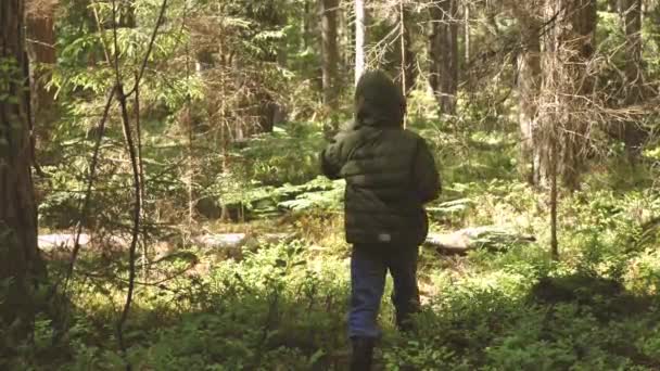 孩子一个人在森林里迷了路 只有森林里的男孩一个人一个人在森林里生存一个旅游孩子在灌木丛中迷了路 一个心烦意乱的孩子正在等着被发现 有选择的重点 — 图库视频影像