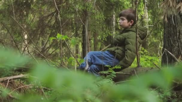 Het Kind Verdwaalde Alleen Het Bos Jongen Het Bos Alleen — Stockvideo
