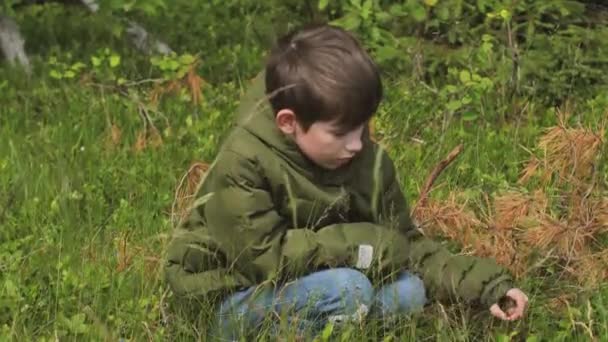 小男孩吃野草莓 这个男孩甚至在森林的边缘也吃浆果 在森林中独自生存 — 图库视频影像