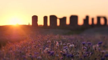 Hareketli günbatımı ışığı. Çiçeklerin üzerindeki sıcak titreşimli hava. Günbatımının sinematik görüntüsü. Güneş ışığında mavi çiçekler. Seçici yumuşak odaklanma. Çiçeklerle günbatımını taşlaştırın