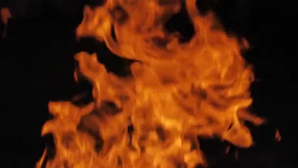黒い背景に火の炎 暗闇の中で火の炎が舞う ソフトシネマティック画像 画面全体に強い炎 柔らかい選択的フォーカス — ストック動画