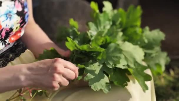 Man Crown His Head Oak Leaf Wreath Head Celebrating Midsummer — Vídeo de stock