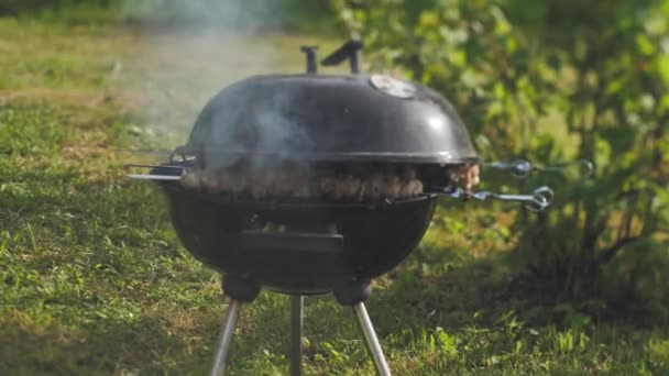 Barbecue Season Garden Grill Meat Smoke — Vídeo de Stock