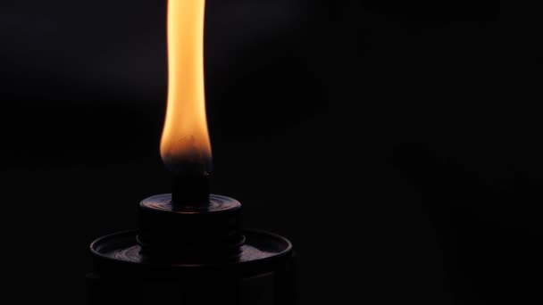 Fire Flame Torch Black Background Flame Fire Dances Darkness Soft — Vídeos de Stock