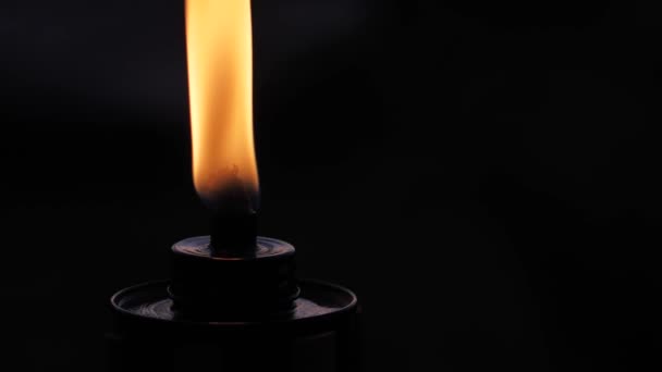 Fire Flame Torch Black Background Flame Fire Dances Darkness Soft — Vídeos de Stock