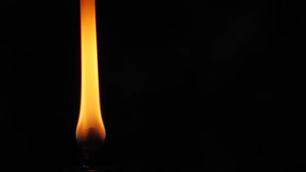 Fuego Llama Una Antorcha Sobre Fondo Negro Llama Del Fuego — Vídeo de stock