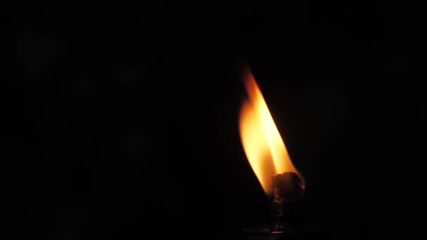 在黑色背景上的火把上燃起的火焰 火焰在黑暗中舞动 软片图片 一个强大的火焰 被吹过屏幕 软性选择性重点 — 图库视频影像