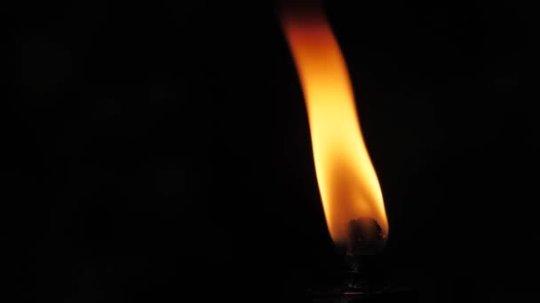 Fire Flame Torch Black Background Flame Fire Dances Darkness Soft — Vídeos de Stock