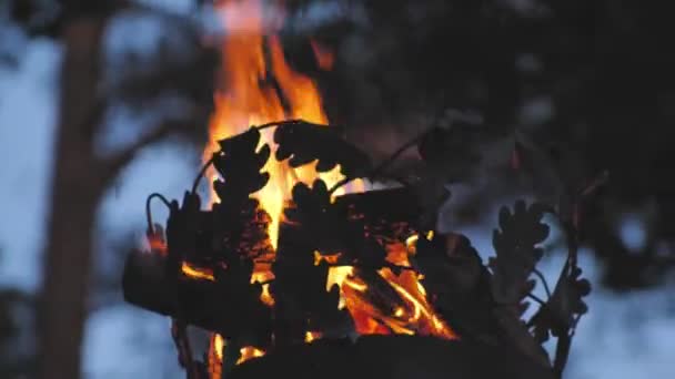 Korona Tűzoszlopon Közelkép Egy Tűzről Egy Rúdon Egy Mozifilm Finoman — Stock videók