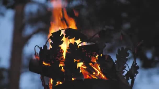 Coroa Pilar Com Fogo Close Fogo Poste Uma Fotografia Cinematográfica — Vídeo de Stock