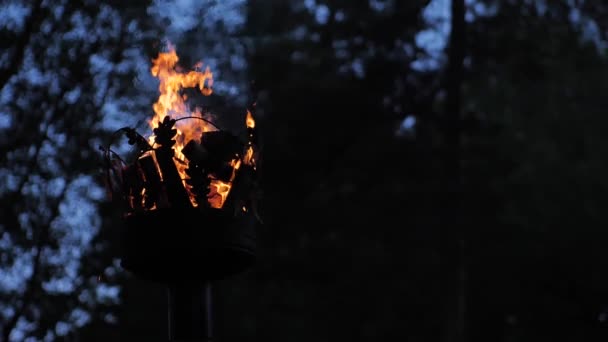 Coroa Pilar Com Fogo Close Fogo Poste Uma Fotografia Cinematográfica — Vídeo de Stock