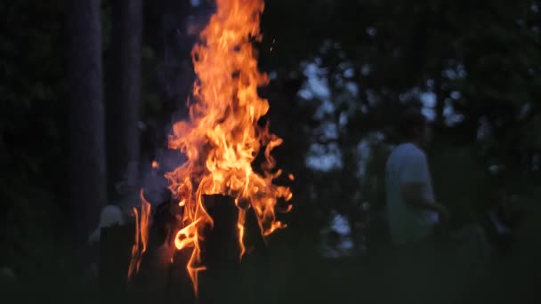 Fiesta Del Fuego Pagano Letonia Noche Verano Ligo Imagen Cinematográfica — Vídeo de stock