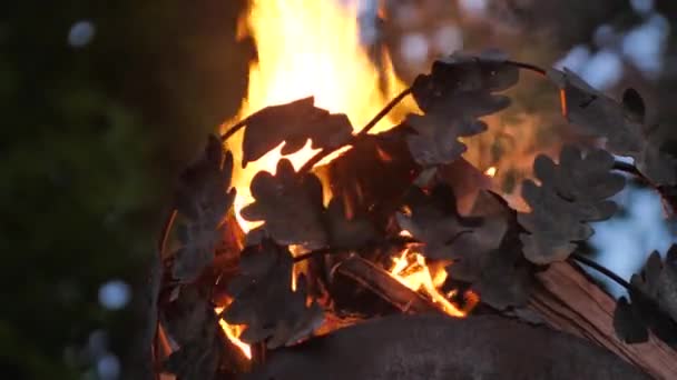 Coroa Pilar Com Fogo Close Fogo Poste Uma Fotografia Cinematográfica — Vídeo de Stock