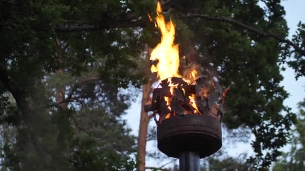 Mahkota Pilar Dengan Api Pendekatan Dari Api Pada Tiang Sebuah — Stok Video