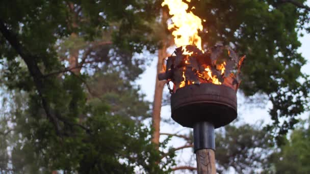 Crown Pillar Fire Close Fire Pole Cinematographic Picture Soft Focus — Vídeos de Stock