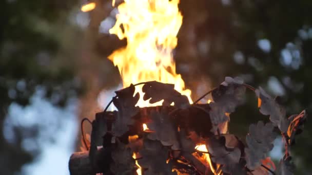 Crown Pillar Fire Close Fire Pole Cinematographic Picture Soft Focus — Vídeos de Stock