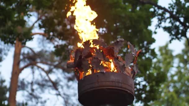 Corona Sobre Pilar Con Fuego Primer Plano Incendio Poste Una — Vídeo de stock