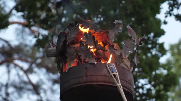 Corona Sobre Pilar Con Fuego Primer Plano Incendio Poste Una — Vídeo de stock