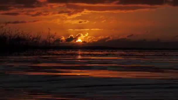 湖边金色的落日太阳与自然和谐相处 湖面上的阳光反射 漂亮的黄色夜晚镜头 日落在湖边 在夏日的微风中飘扬 — 图库视频影像