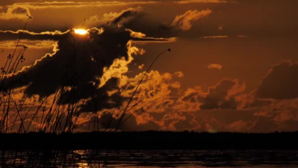 Arany Naplemente Tónál Szoláris Egység Harmónia Természettel Napfény Visszaverődése Felszínén — Stock videók