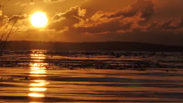 Golden Sunset Sky Reflection Sunlight Surface Clouds Beautiful Yellow Evening — Stock videók