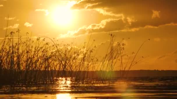 Golden Sunset Lake Solar Unity Harmony Nature Reflection Sunlight Surface — Stock videók