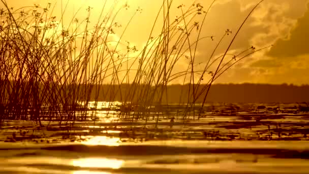Golden Sunset Lake Solar Unity Harmony Nature Reflection Sunlight Surface — Stockvideo