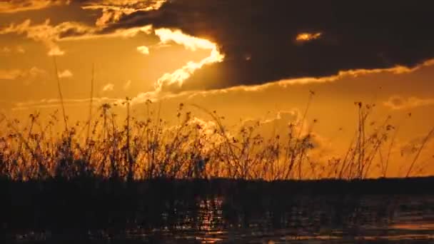 Золотой Закат Озера Солнечное Единство Гармония Природой Отражение Солнечного Света — стоковое видео