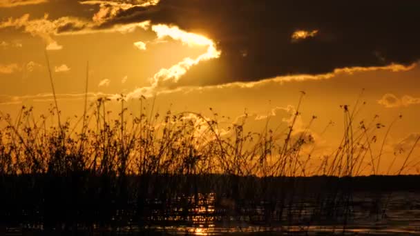 Golden Sunset Lake Solar Unity Harmony Nature Reflection Sunlight Surface — ストック動画