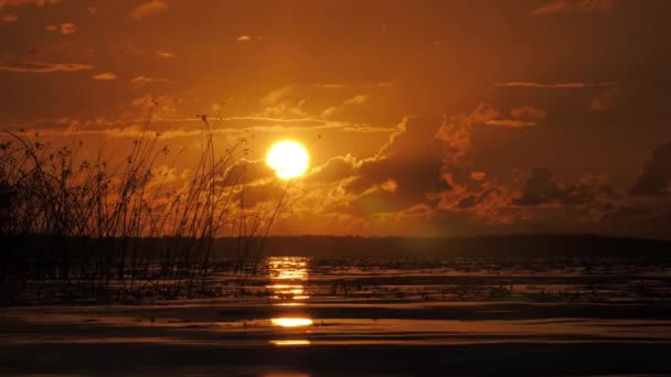 Golden Sunset Lake Solar Unity Harmony Nature Reflection Sunlight Surface — Stock videók