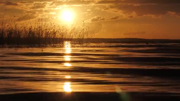 Golden Sunset Lake Solar Unity Harmony Nature Reflection Sunlight Surface — ストック動画