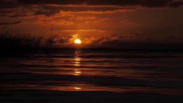 湖边金色的落日太阳与自然和谐相处 湖面上的阳光反射 漂亮的黄色夜晚镜头 日落在湖边 在夏日的微风中飘扬 — 图库视频影像