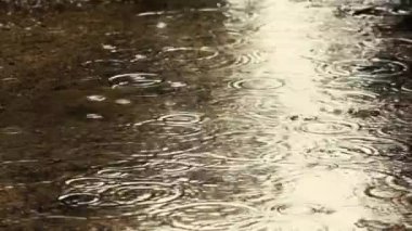 Raindrops fall into the water. It is raining heavily. Global warming summer in Europe