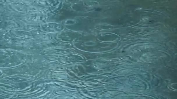 Raindrops Fall Water Raining Heavily Global Warming Summer Europe — Vídeo de Stock