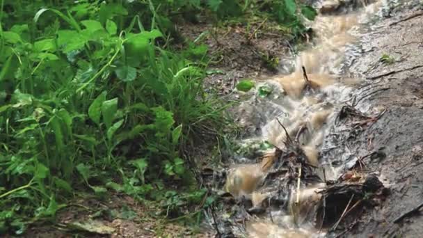 Dirty Sewage Flows River Raining Heavily Global Environmental Pollution Europe — Αρχείο Βίντεο