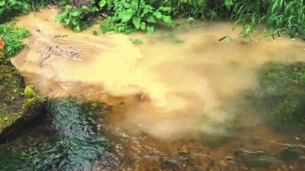 Dirty Sewage Flows River Raining Heavily Global Environmental Pollution Europe — стоковое видео