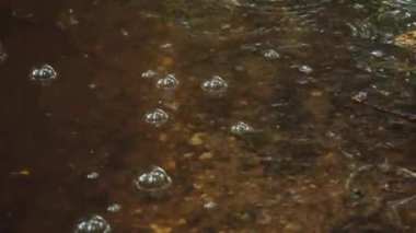 Raindrops make bubbles as they fall. It is raining heavily. Global warming summer in Europe