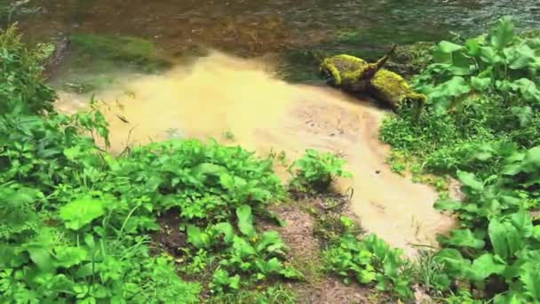 Dirty Sewage Flows River Raining Heavily Global Environmental Pollution Europe — Video Stock