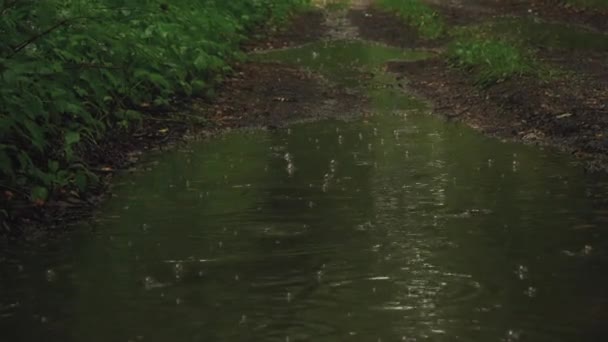 Дощі Роблять Бульбашки Коли Падають Йде Сильний Дощ Літо Європі — стокове відео
