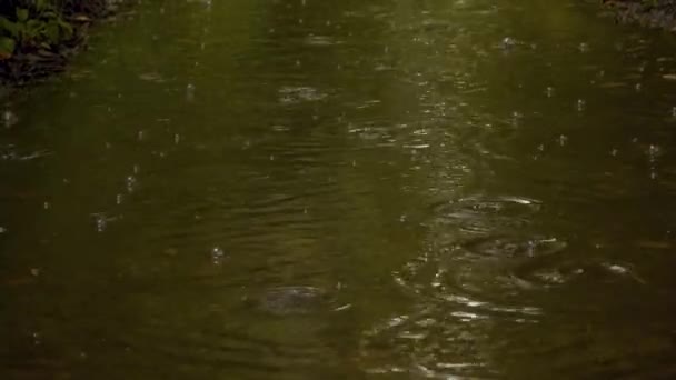 Raindrops Make Bubbles Fall Raining Heavily Global Warming Summer Europe — Vídeo de Stock