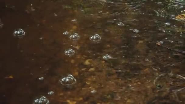 Raindrops Make Bubbles Fall Raining Heavily Global Warming Summer Europe — Stockvideo