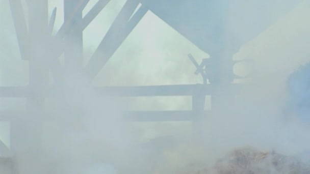Firemen Put Out Burning Grain Mill Fireman Puts Out Fire — Wideo stockowe