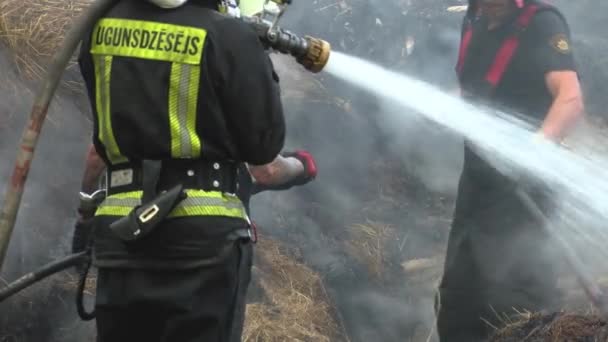 Fireman Extinguish Fire Hose Firefighters Put Out Burning Grain Forge — Stok Video