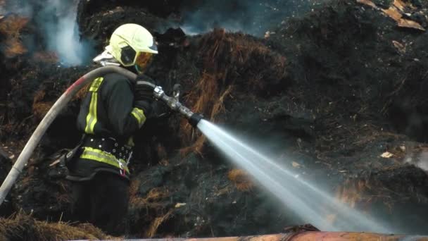 Fireman Extinguish Fire Hose Firefighters Put Out Burning Grain Forge — 비디오